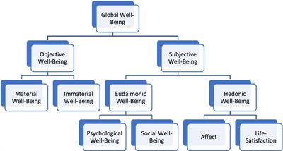 Well-being and quality of life in people with disabilities practicing sports, athletes with disabilities, and para-athletes: Insights from a critical review of the literature
